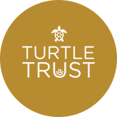 Turtletrust Foundation logo, the charity our Endospheres clinic in London donates to